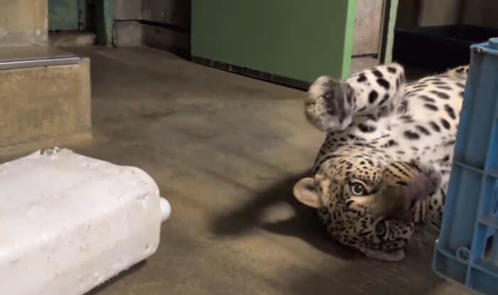 愛媛県立とべ動物園