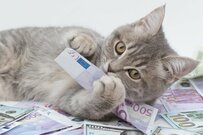 【50歳代・二人以上世帯】貯蓄300万円台は何パーセントか