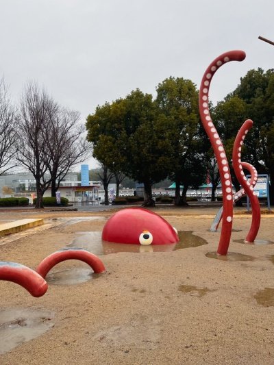 水たまりから巨大なタコが！