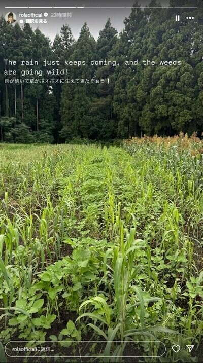 ローラのInstagram投稿