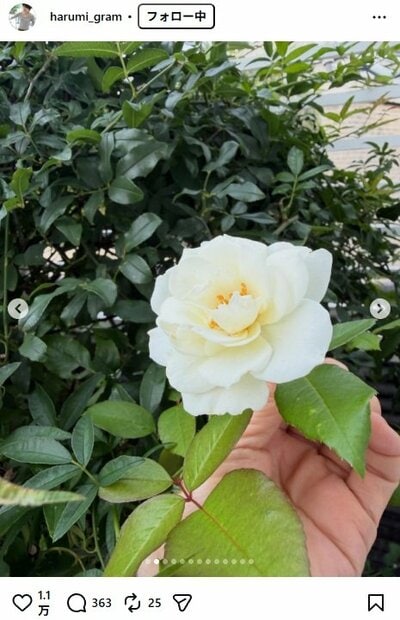 ☆☆栗原はるみのInstagram投稿
