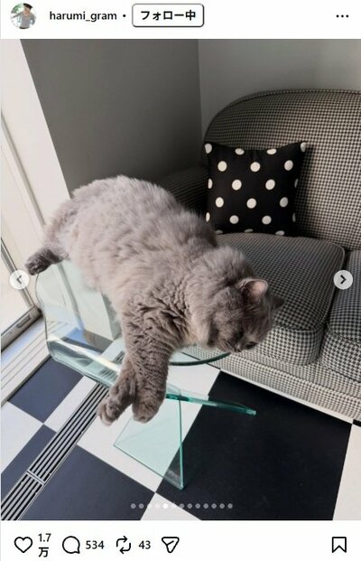 栗原はるみのInstagram投稿（くつろぐもやし）