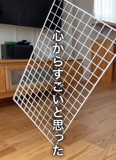 「万能すぎる...！」ダイソーの〈ワイヤーネット〉で→靴・ぬいぐるみ・カバン・コード類・写真などを便利に収納できる！