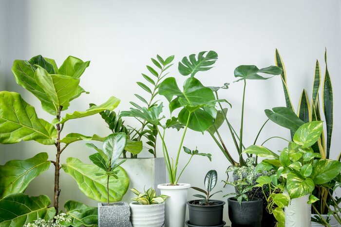 Foto2rich/shutterstock.com