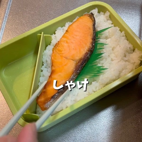 【お弁当術】ご飯に鮭をのせたお弁当。容器の仕切りを斜めに配置して幅の広い鮭をそのまま収め、食材を切る手間を省く詰め方の工夫