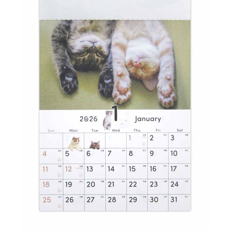 出所：キャンドゥ公式　26壁掛けカレンダーA5　猫