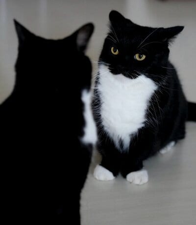 出所：@unicouniuni3