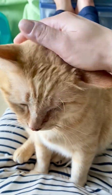 出所：@luna7taka9