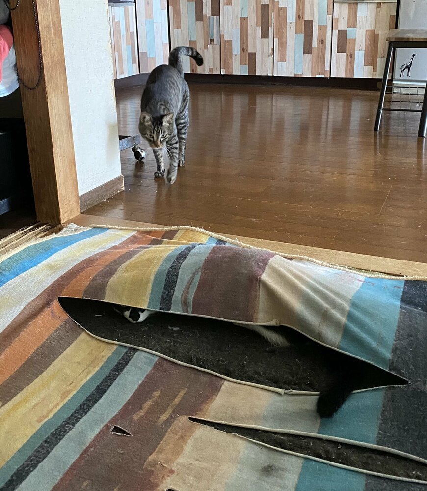 出所：＠00shitemita