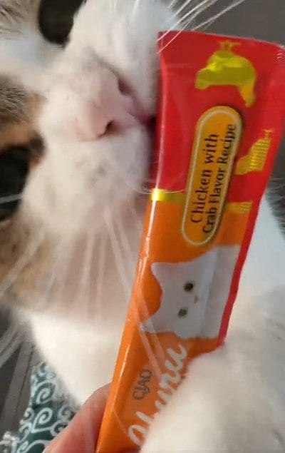 出所：＠nikoandkotatorowasabi