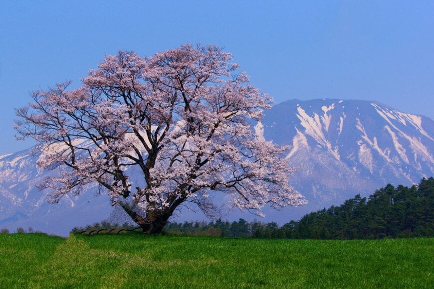 airtime/shutterstock.com