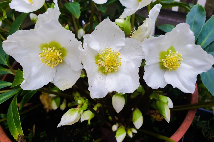 annacovic/shutterstock.com