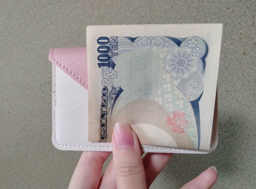 筆者撮影（セリア、パスケース）