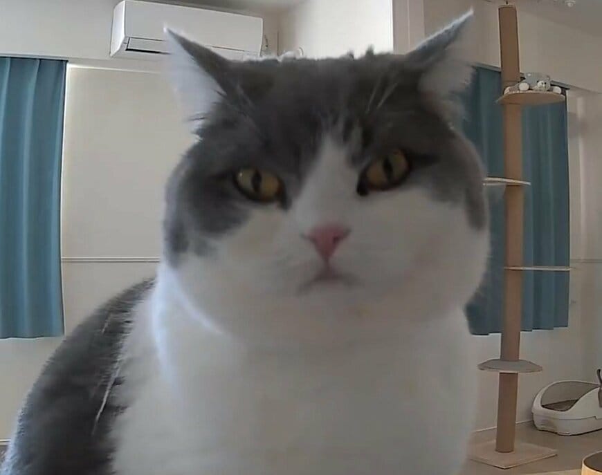 出所：@brimochi222