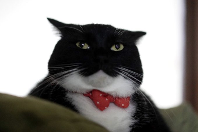 出所：＠unicouniuni3