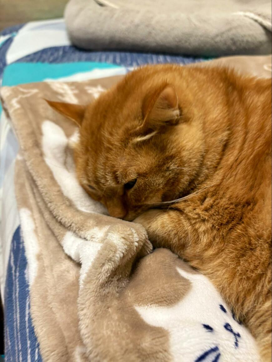 出所：@kagisuzu0531