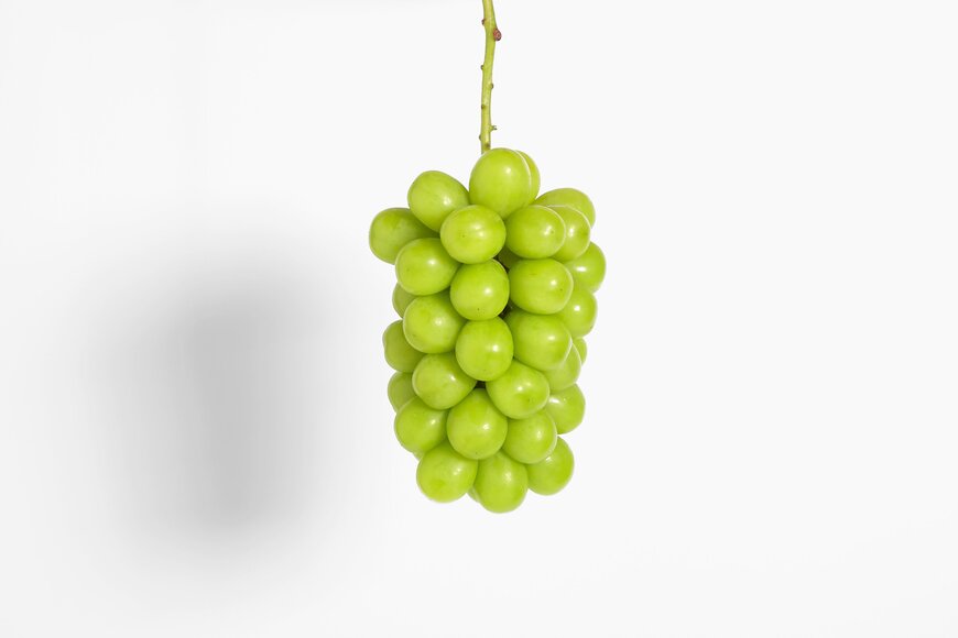 提供：株式会社ゴンチャジャパン広報