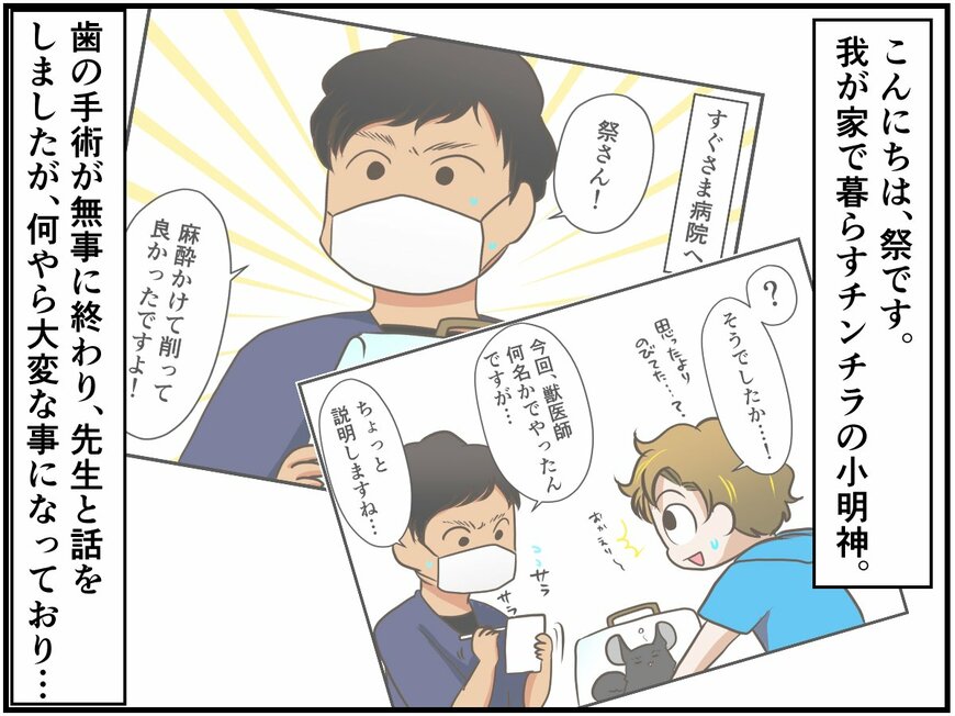 診断結果は獣医師も驚くレアケース⁈ 通院ライフ～術後編～【チンチライフ56話】