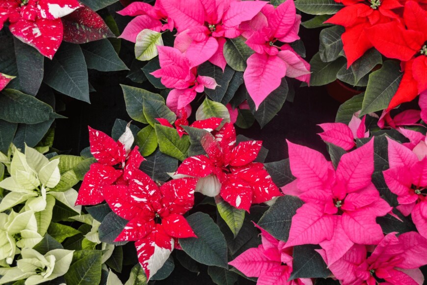 Goroda/istockphoto.com