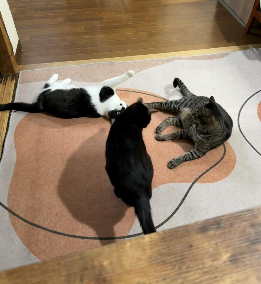 出所：@00shitemita