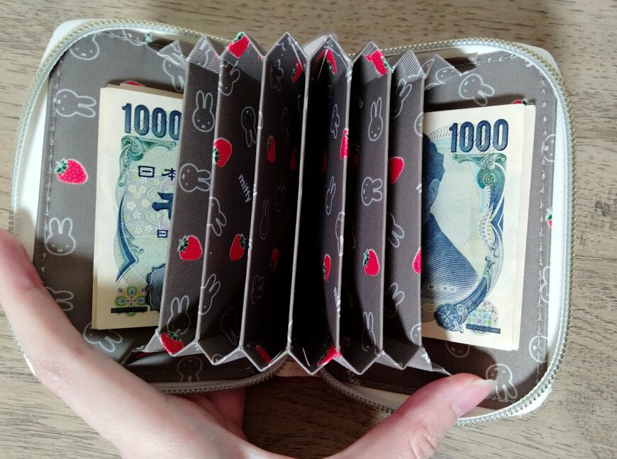 筆者撮影（宝島社、miffy カードが見やすい じゃばら式ミニ財布 BOOK）