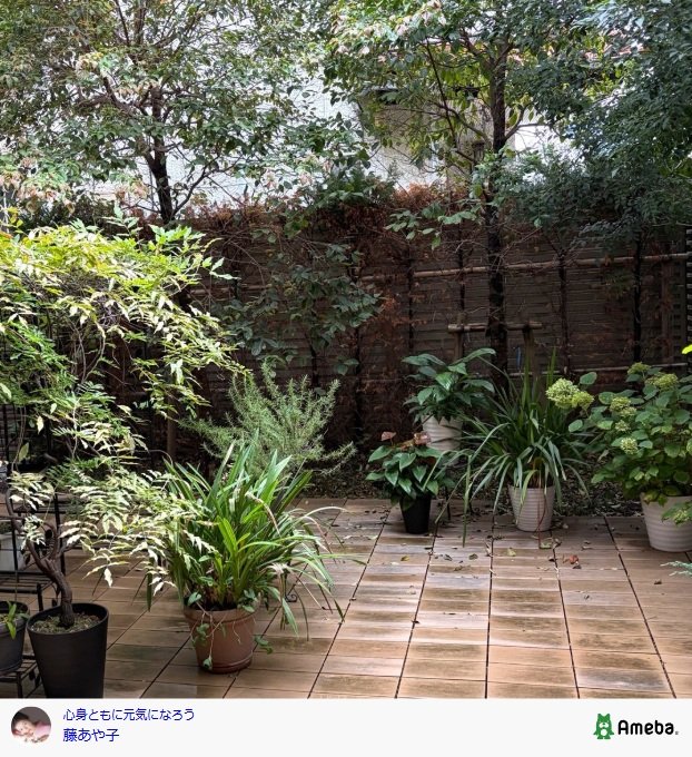 出所：藤あや子のAmebaブログ 参照日：2025年10月23日