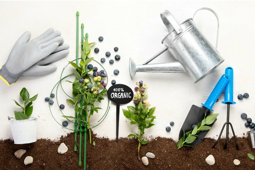 bit245/istockphoto.com