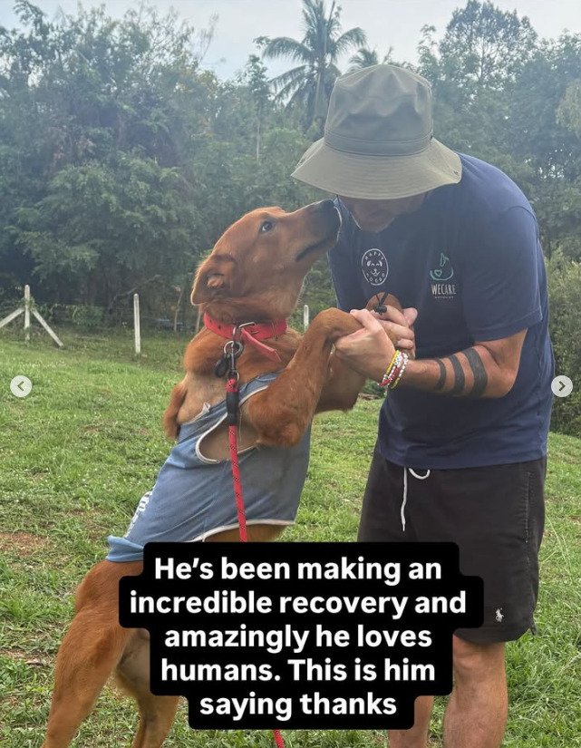 出所：@niall.harbison