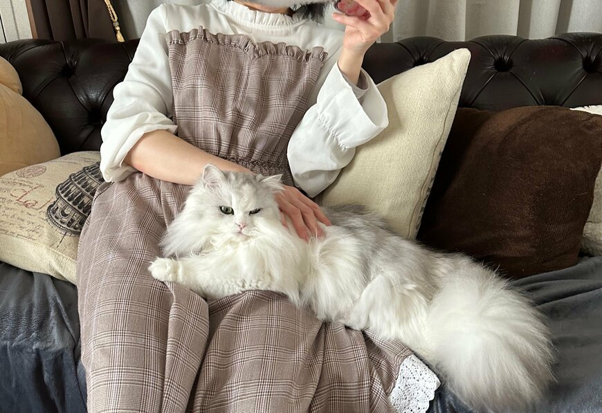 出所：@NEKOLAND13