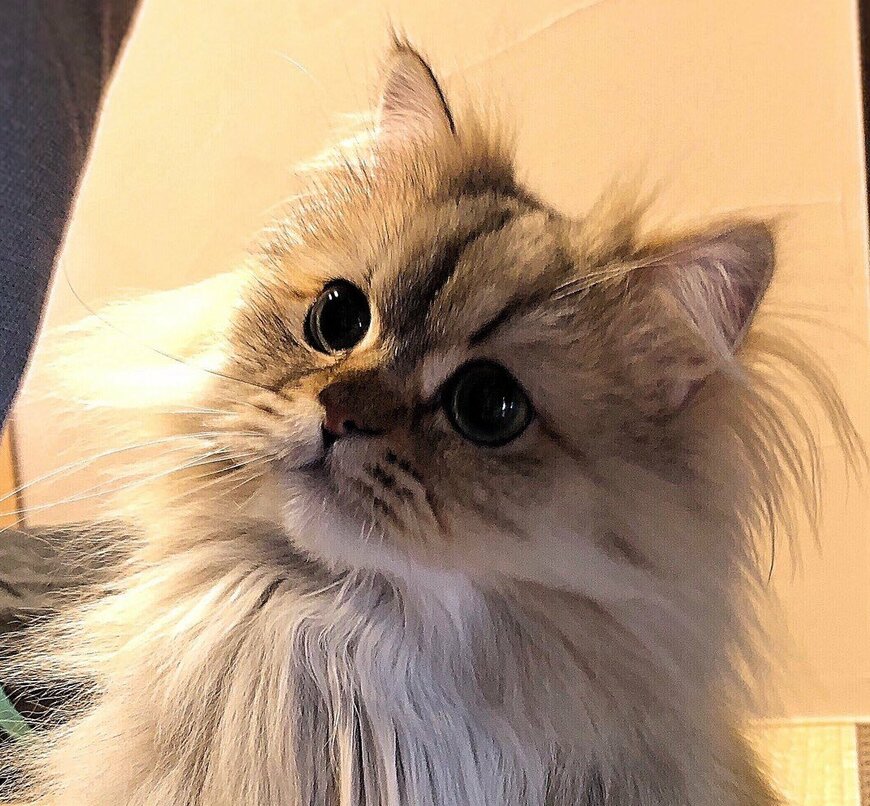 出所：@UphQepCv8J