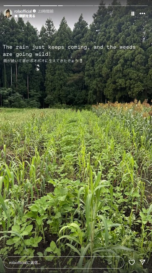 出所：ローラのInstagramストーリーズ（＠rolaofficial）参照日：2025年8月19日