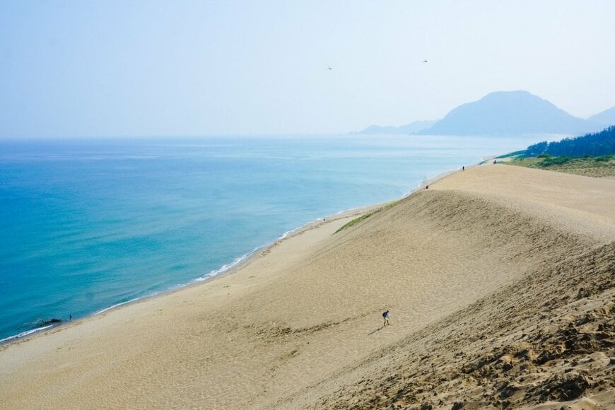 鳥取砂丘に降臨したミャクミャクを思わず二度見！「砂丘背景なのが最高」「万博ロスを癒せる」と大反響