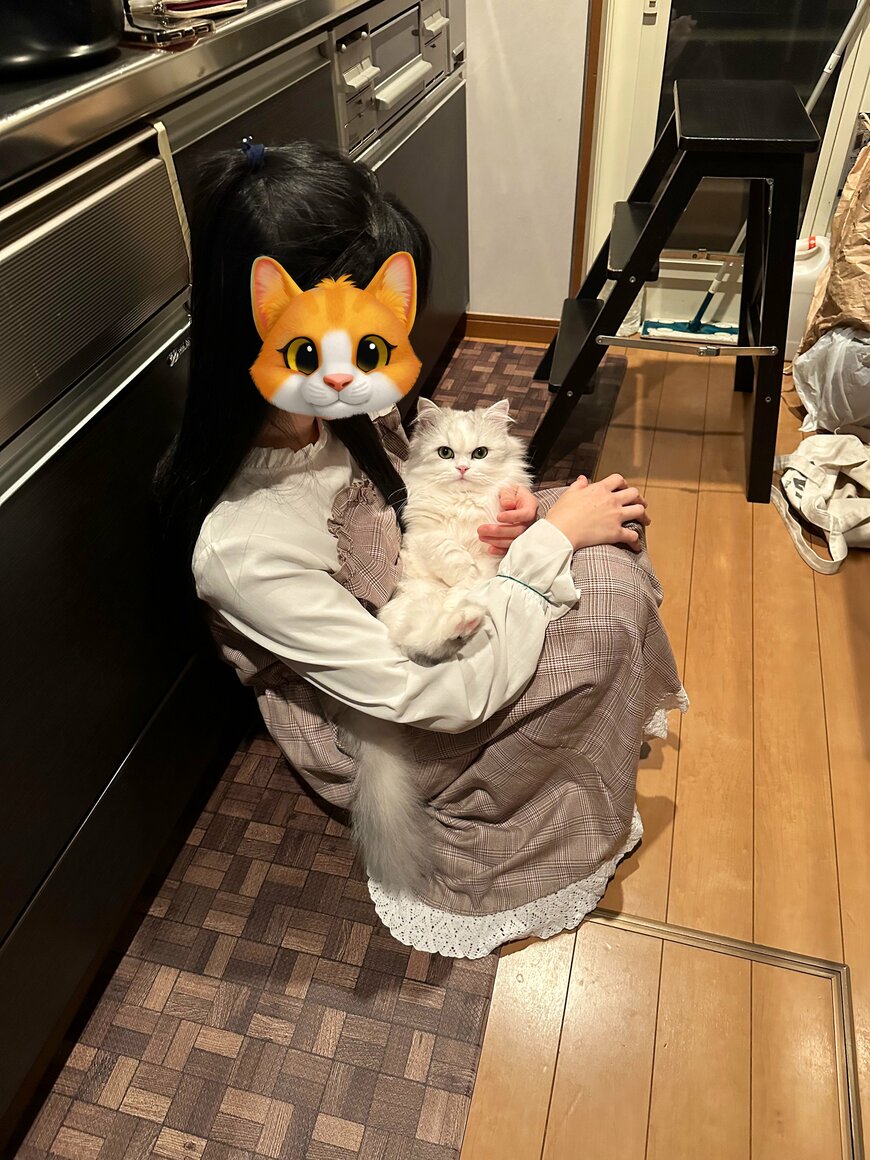 出所：@NEKOLAND13