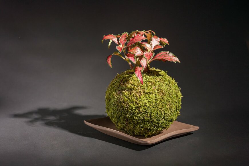 Paul Triska/Shutterstock.com