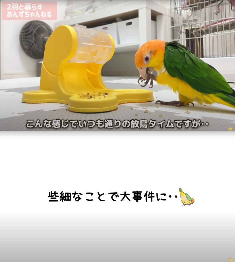 出所：@anz_omomiri