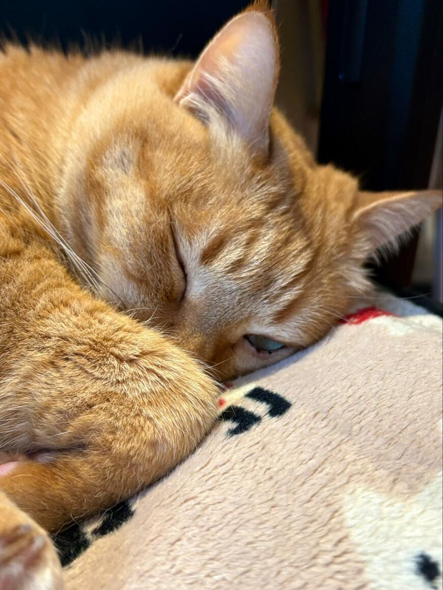 出所：@kagisuzu0531