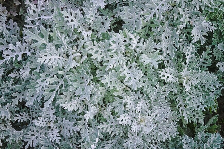 Anatoliy Berislavskiy/istockphoto.com