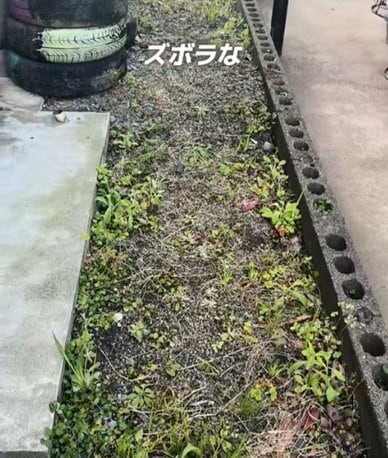 築30年超〈和風中古戸建の雑草対策〉→カインズの人工砂を撒くだけでスッキリ美しい〈雑草ゼロ空間〉に！「自分もやりました 」と共感の声