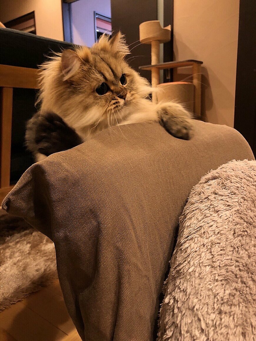 出所：@UphQepCv8J