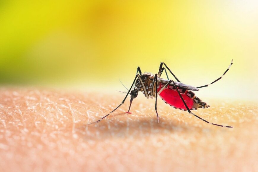 ビル・ゲイツ氏、マラリアなど蚊による被害を食い止める方策を語る