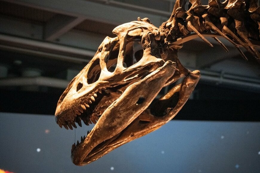 オープンラボ2026概要