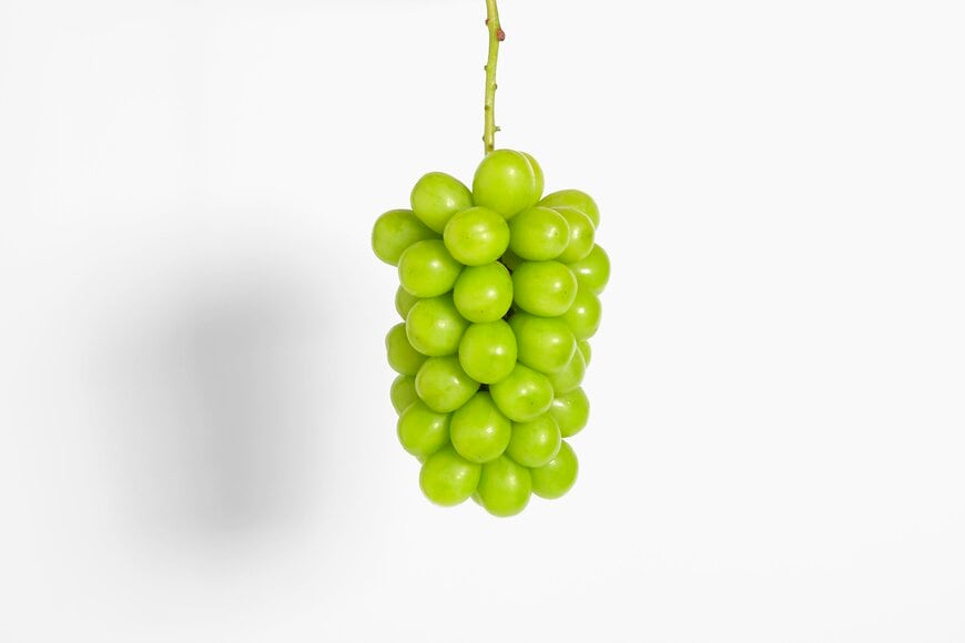 マスカットの写真