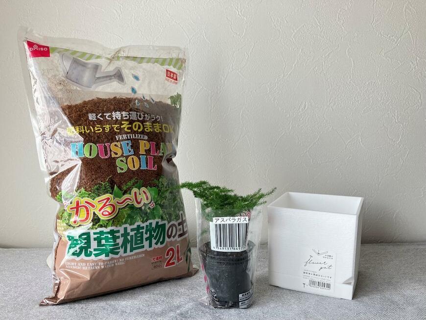 ダイソー商品でアスパラガス春植え