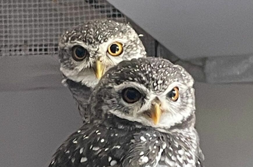 投稿写真のワンシーン