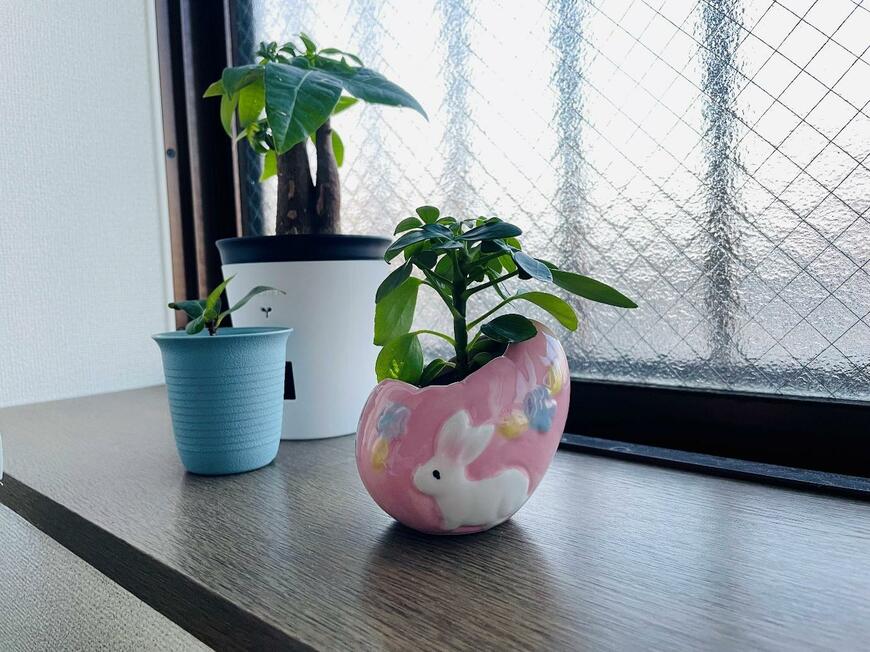 イースター陶器（エッグ）