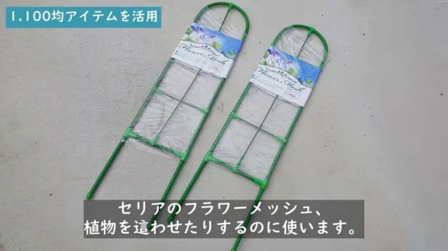 @チェリーガーデン