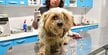 汚れて衰弱しきっていた出産直後の母犬が避妊手術を終え新しい家族のもとへ。感動の軌跡に反響