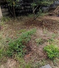 「本当にすごい」雑草だらけの〈お庭〉→職人技で〈美しすぎる更地〉にスッキリ！
