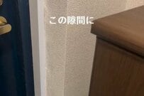 「スーッと入る」倒れがちな傘立てをチェンジ　「ニトリの傘立て」をアレンジしてすっきり収納に…