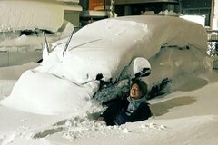 新潟の豪雪で「コインパーキングから車出せません」　雪に埋もれる自動車と人の姿に目を疑う